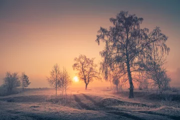 Printed kitchen splashbacks Morning with fog Road with frost-covered trees in winter forest at foggy sunrise.