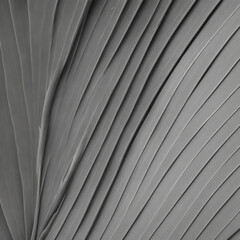 white wood texture background