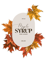Maple syrup vector label template 