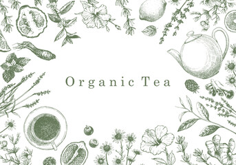 Organic Tea. Hand-drawn illustration of plants and objects. Ink. Vector