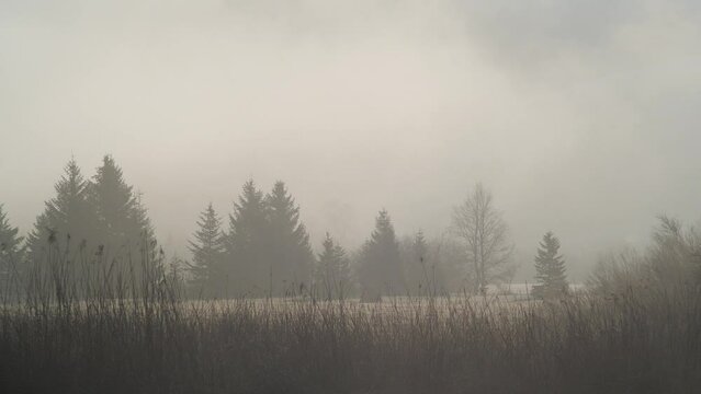 Sumpf Vall&eacute;e de Joux Fr&uuml;hling Morgen 01