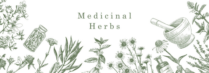 Medical Herbs. Hand-drawn illustration of herbs and objects. Ink. Vector