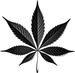 Cannabis Marijuana Hemp Weed Leaf Illustration on a Transparent Background