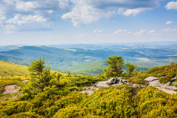 Beautiful view of the Ukrainian mountains Carpathians and valleys.Beautiful green mountains in summer with forests, rocks and grass. Water-making ridge in the Carpathians, Carpathian mountains