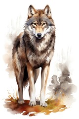 watercolor painted wolf, realistic style, isolated on white , AI Generated