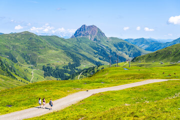 Fototapeta na wymiar Grosser Rettenstein Mountain with green landscape of Kitzbueheler Alps, Austria