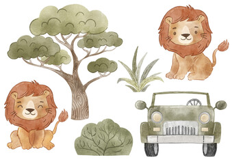 Watercolor lions characters, jeep, savanna plants. Safari landscape set. Cute safari elements collection. Realistic nature lions baobab, bush, grass for posters, cards, nursery, apparel, scrapbooking.