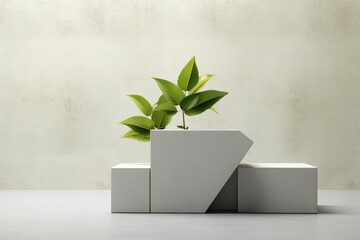 Concrete pot. Green succulent plant in modern geometric concrete planter isolated on white . AI Generated