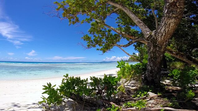 A close-up of a beach on Seychelles, Silhouette Island on Seychelles, tropical paradise, dream vacations, honeymoon, heavenly vegetation, Indian Ocean, tropical beach, white sand, turquoise water, oce