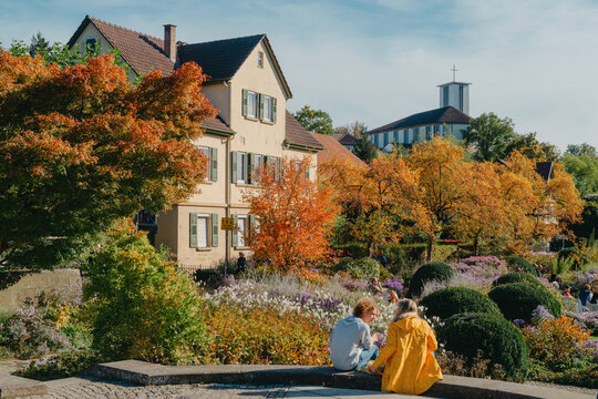 House with nice garden in fall. Flowers in the City Park of Bietigheim-Bissingen, Baden-Wuerttemberg, Germany, Europe. Autumn Park and house, nobody, bush and grenery