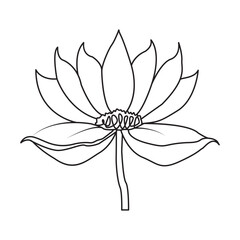 One line hand drawn flower for tattoo design