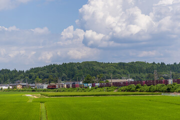 田園を走る貨物列車