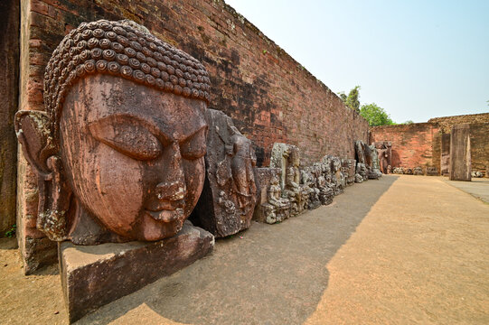Gaint stone head of Meditating Buddha hand carved in stone  along with other excavated remains on display inside  Ratnagiri Buddhist archaeological site complex, Jajpur, Odisha, India.