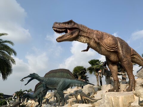 tyrannosaurus rex dinosaur - t rex