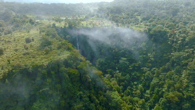 Dense jungle with huge waterfall, the lost world