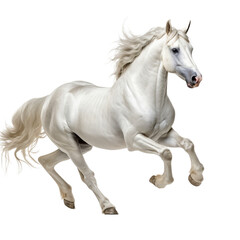 Obraz na płótnie Canvas Weißes Pferd Isoliert Generative AI