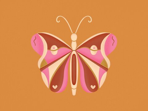 Illustration of a Butterfly or Moth 