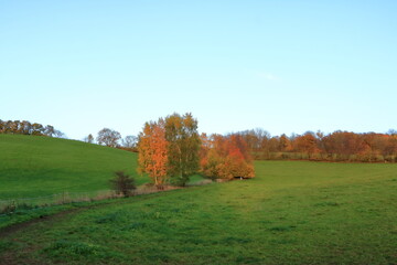 Autumn Landscape near Dippoldiswalde in Saxony, Germany