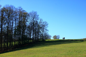 Autumn Landscape in Saxony, Germany