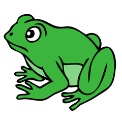 frog vector illustration