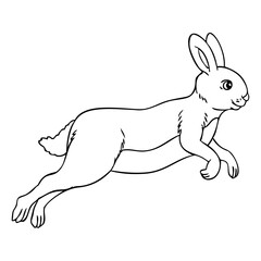 rabbit jumping line vector illustration