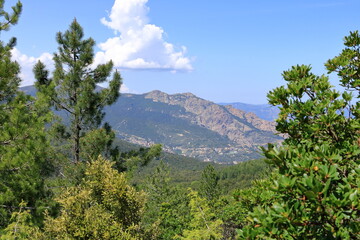 sardinian mountain landscape near Biddamanna Istrisàili/Villagrande Strisaili/Arzana, Italy