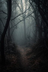 Obraz premium Foggy morning in the forest generative AI