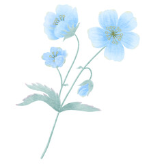 Blue flowers watercolor style