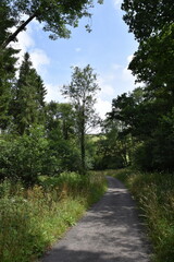 a walk along the tarka trail near Torrington