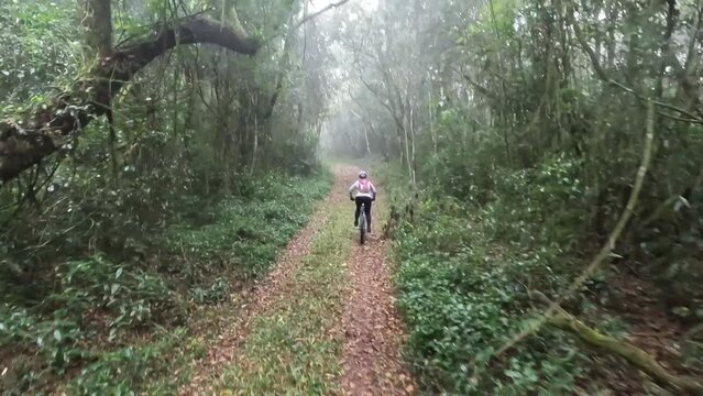 Serra do Japi Mountain Biking: Adrenaline and Stunning Views. Fluid Footage - GoPro - 4k - Helmet view (POV)