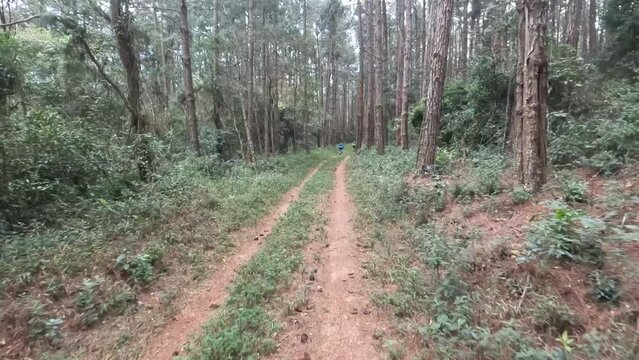 Serra do Japi Mountain Biking: Adrenaline and Stunning Views. Fluid Footage - GoPro - 4k - Helmet view (POV)