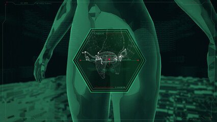 Female Uterus X-Ray Scanner with HUD UI Elements