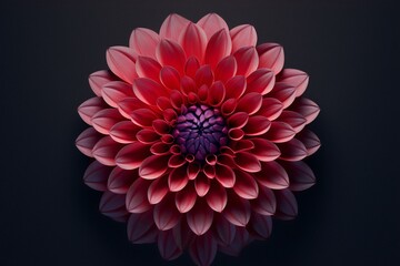 Intense Pink Dahlia Close-Up, Generative AI