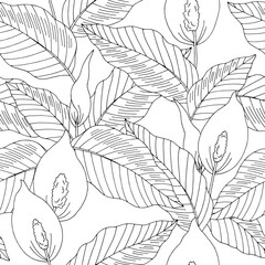 Spathiphyllum flower seamless pattern background graphic black white sketch illustration vector