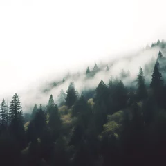 Fotobehang Forest on mountainside among low clouds. Atmospheric view to rocky mountains with conifer trees in dense fog and river. © Vector Market
