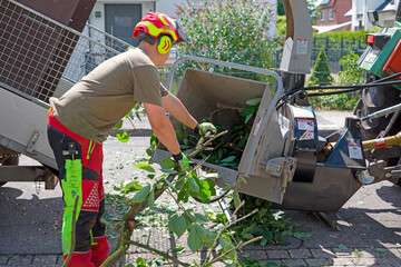 Gartenarbeiter steckt Baumäste in den Schrädder