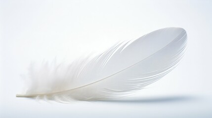 Obraz premium Ethereal White Feather Floating Against Stark White Backdrop. Generative ai