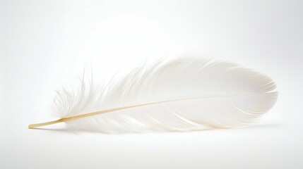 Obraz premium Ethereal White Feather Floating Against Stark White Backdrop. Generative ai