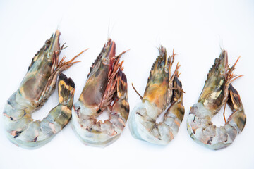 Fresh tiger prawn sea shrimp unpack ready to cook in white background
