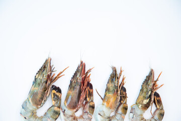 Fresh tiger prawn sea shrimp unpack ready to cook in white background