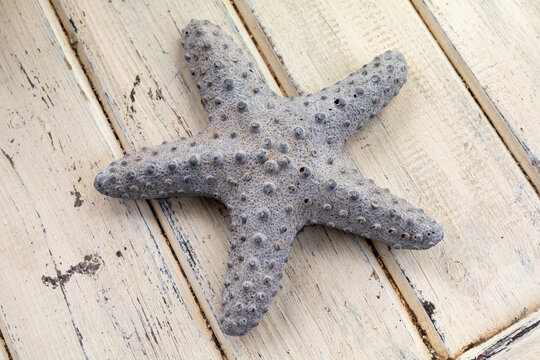 Sea star shaped stone decoration made of volcanic stone from the Canary islands. Painted wood background.
