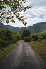 Fototapeta na wymiar Green landscape of a road or track that goes to the Gorobel mountain where the Nervion waterfall is located, in the delika canyon, Alava, Basque Country