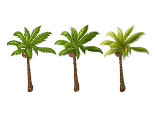 Palm