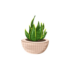flowerpot