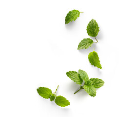 fresh mint leaves with real transparent shadow isolated on transparent background - obrazy, fototapety, plakaty