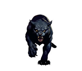 Vector illustration of a puma with a menacing look