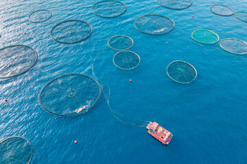 Aquaculture fish farm in sea, seafood industry, aerial view