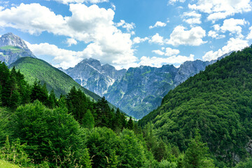 Fototapeta na wymiar Triglav National Park with beautiful mountains and trees in Slovenia