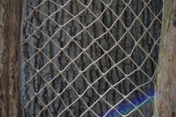 laid rope seamless net with tree bark background