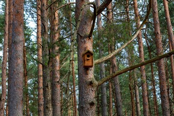 a bird house hanging from a tree branch in the forest